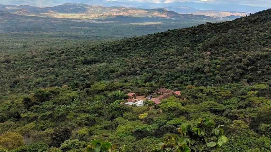 Finca El Salvador