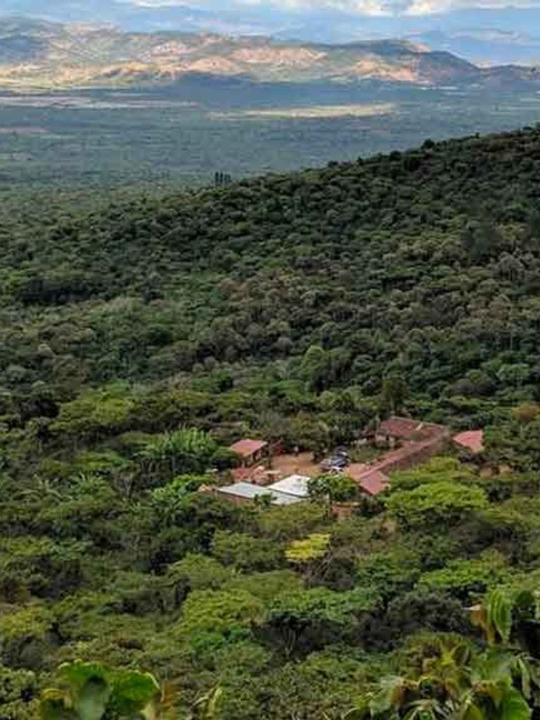 Finca El Salvador