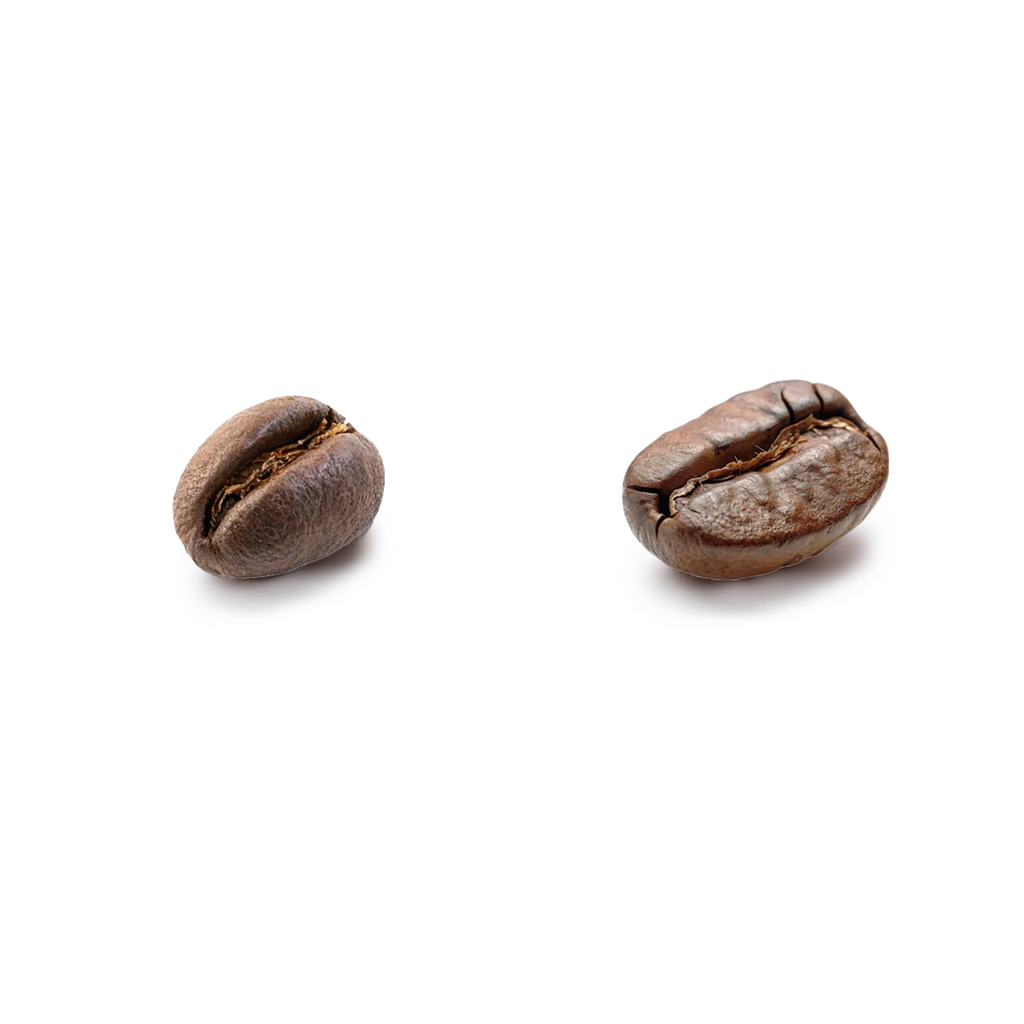 Peaberry