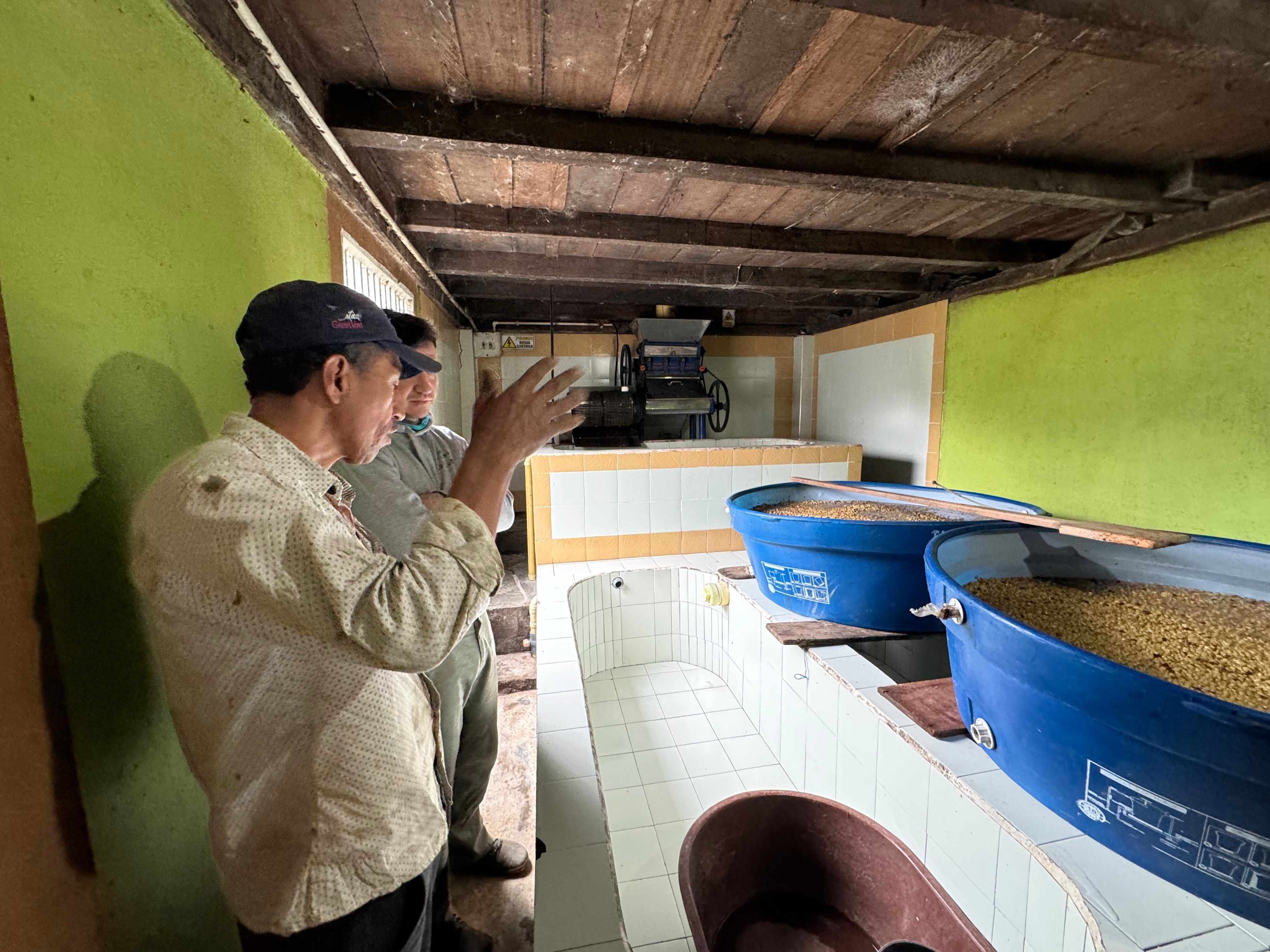 fermentation room